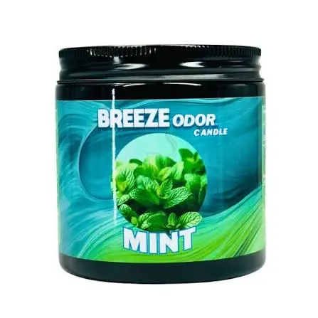 BREEZE ODOR ELIMINATOR CANDLES 13OZ