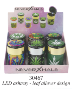 [ITM060720011352] NEVER X HALE CAN BOX OF 6 GS30467