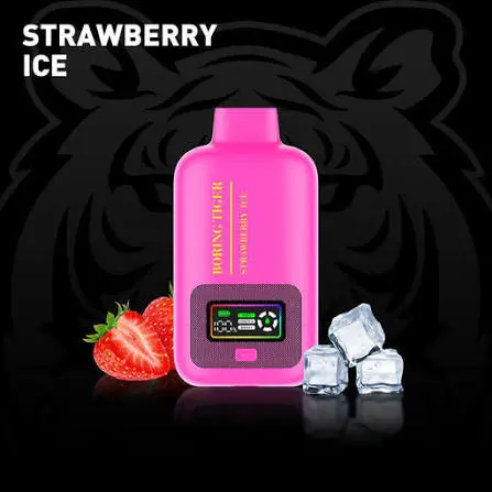 BORING TIGER 5% DISPOSABLE 25000 PUFFS BOX OF 5